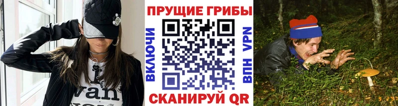 Псилоцибиновые грибы мицелий  Купить закладки  Сосенский 